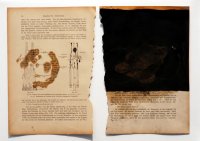 26,5x19 cm, Öl auf Papier