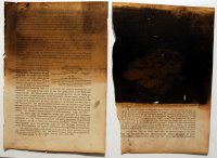 26,5x19 cm, Öl, Tinte auf Papier